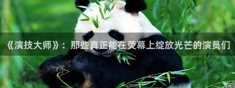 yy易游vip：《演技大师》：那些真正能在荧幕上绽放光芒的演员们