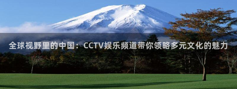 yy易游：全球视野里的中国：CCTV娱乐频道带你领略多元文化的魅力