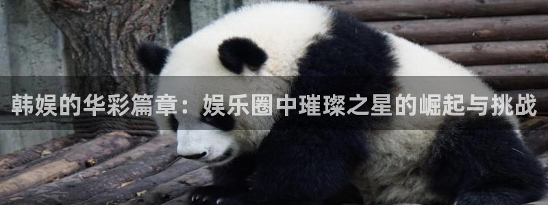 yy易游vip：韩娱的华彩篇章：娱乐圈中璀璨之星的崛起与挑战