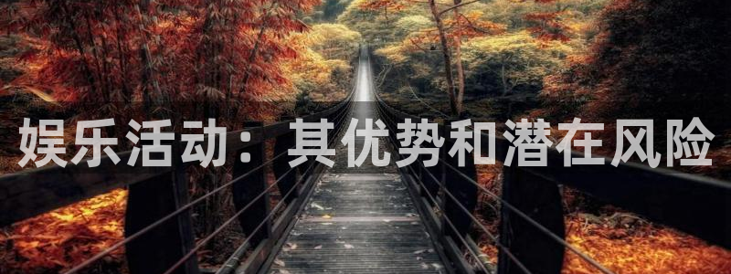 米乐yy易游网址：娱乐活动：其优势和潜在风险