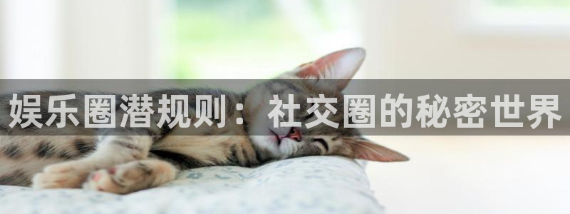 米乐yy易游