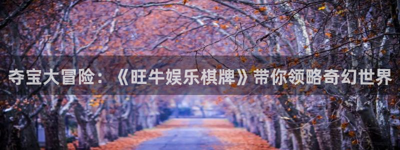 yy易游vip
