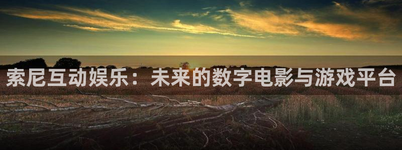 yy易游vip：索尼互动娱乐：未来的数字电影与游戏平台