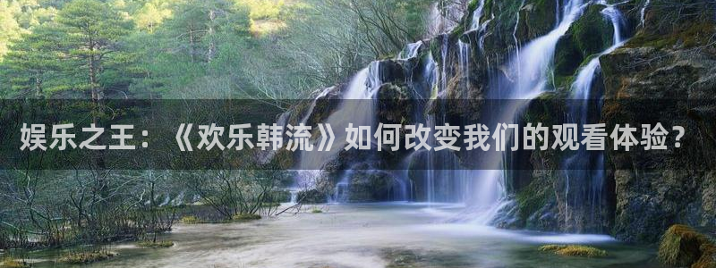 yy易游平台：娱乐之王：《欢乐韩流》如何改变我们的观看体验？