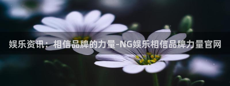 米乐yy易游网址：娱乐资讯：相信品牌的力量-NG娱乐相信品牌力量官网
